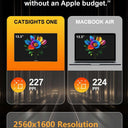 Catsights One
